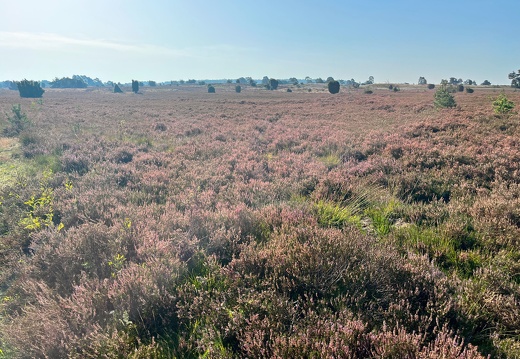 23-09-11 10-06-59 6654